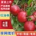 油桃精品红油黄油唐山产地直发保证质量欢迎实力客户前来收购
