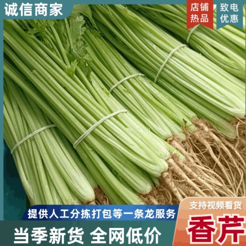 邯郸芹菜/产地直供品质保证/对接全国欢迎联系/