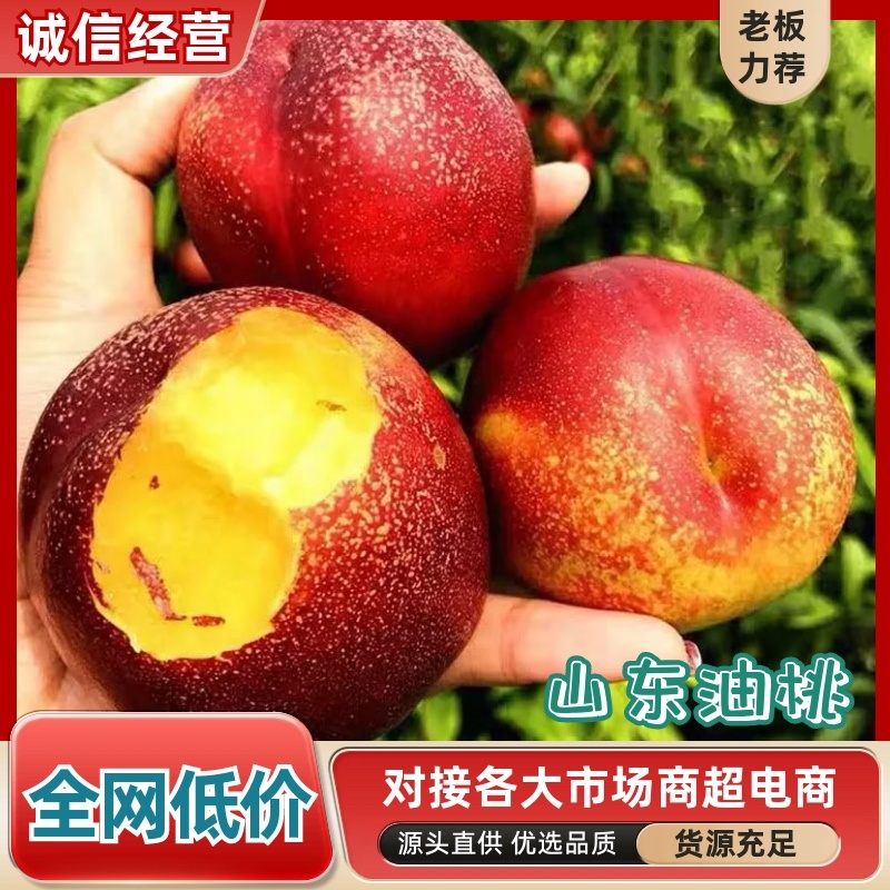 山东头茬油桃中油4号5号产地直供脆甜电商市场商超价低