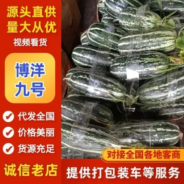 博洋九