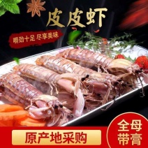 季节肥母满肉皮皮虾带膏熟冻虾爬子濑尿虾皮皮虾虾爬子虾婆虾