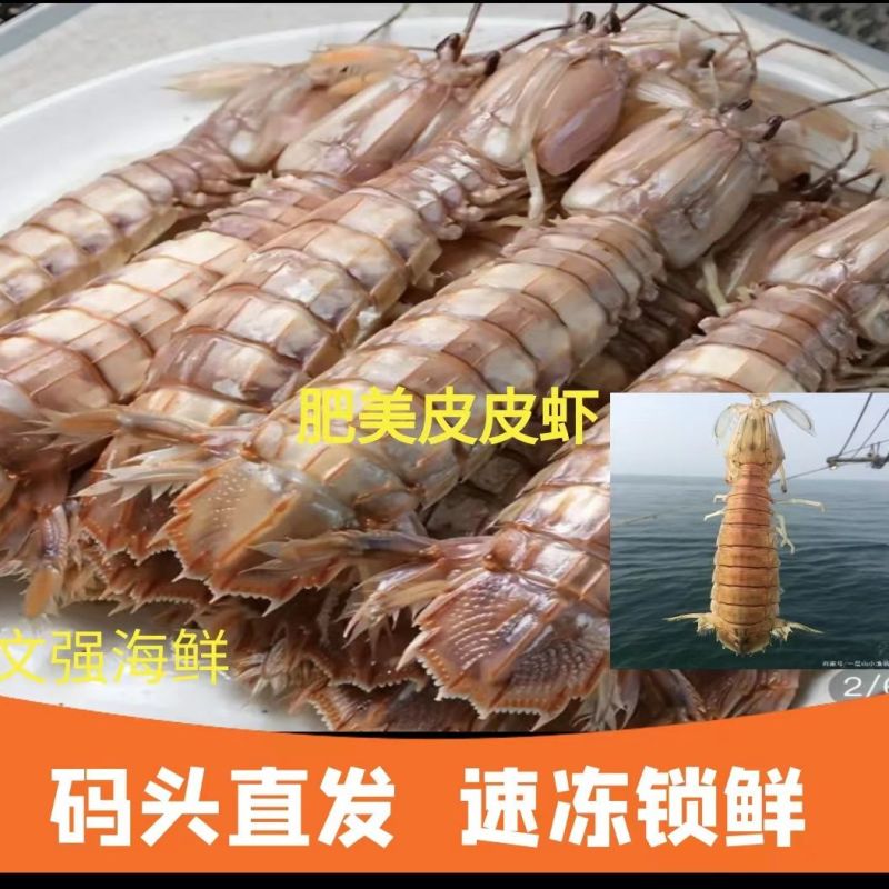 季节肥母满肉皮皮虾带膏熟冻虾爬子濑尿虾皮皮虾虾爬子虾婆虾