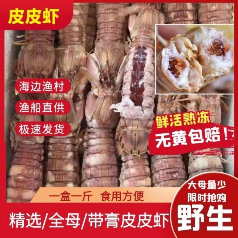 季节肥母满肉皮皮虾带膏熟冻虾爬子濑尿虾皮皮虾虾爬子虾婆虾