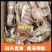 季节肥母满肉皮皮虾带膏熟冻虾爬子濑尿虾皮皮虾虾爬子虾婆虾