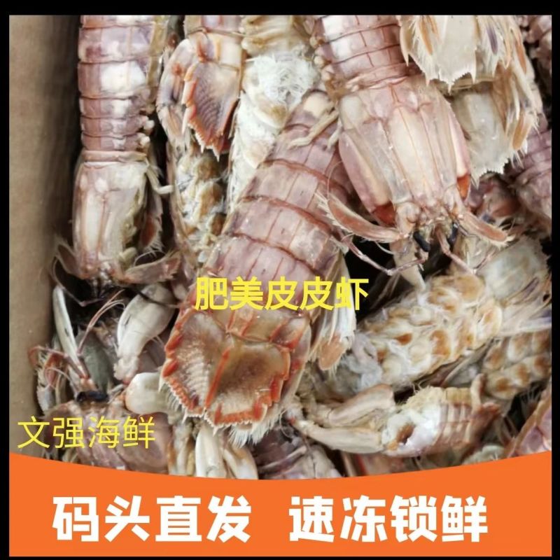 季节肥母满肉皮皮虾带膏熟冻虾爬子濑尿虾皮皮虾虾爬子虾婆虾
