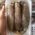 母管鱿鱼，每个小管里面都有膏，一盒4/6个