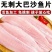 新鲜巴沙鱼片取自新鲜巴沙鱼片非龙利鱼无骨一整