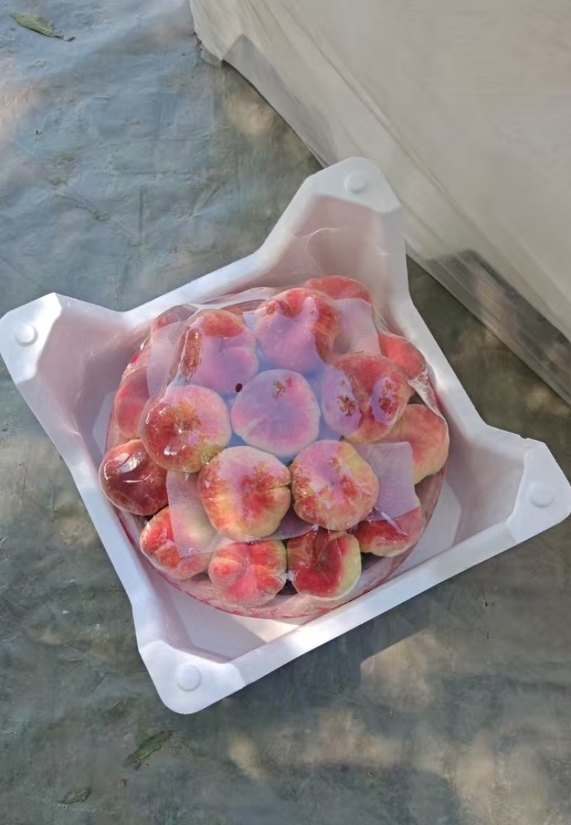 毛蟠桃大棚红毛蟠产地一手货源大量现货