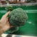 西兰花云南小米粒量大价格从优