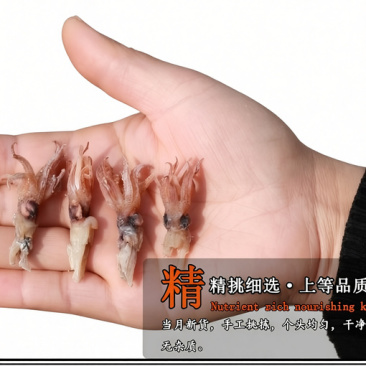 (新货)海兔头干货干小笔管鱼