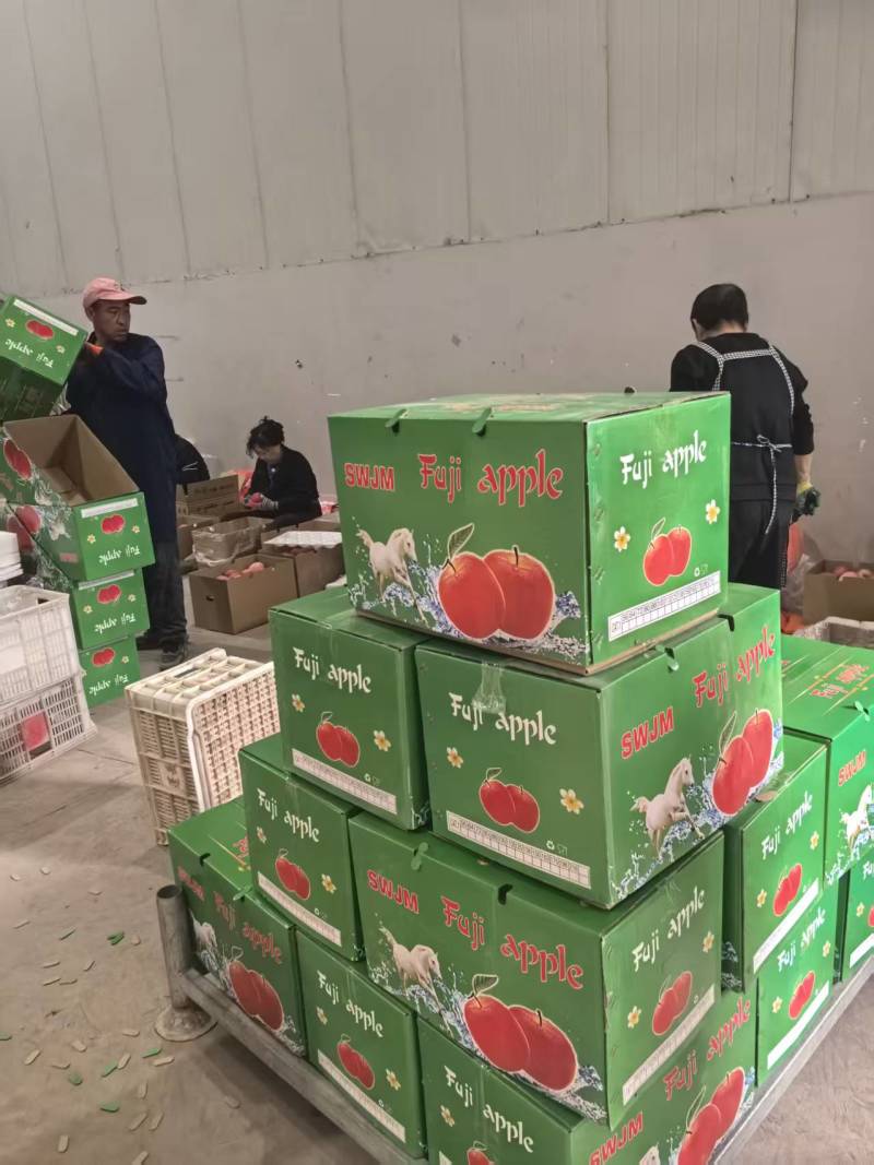 85占百分之八十，75占百分之二十