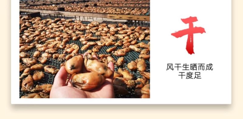 特大号牡蛎干货不抽油带膏蚝豉福建海蛎干商用生蚝