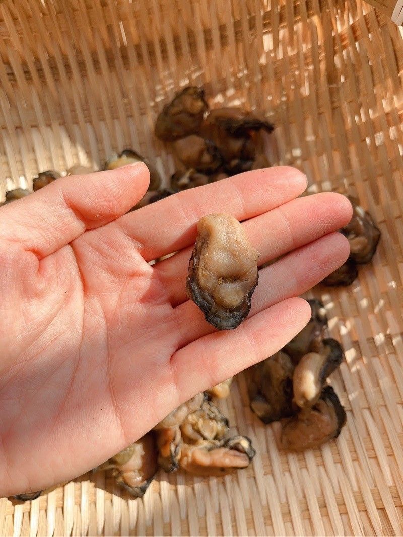 特大号牡蛎干货不抽油带膏蚝豉福建海蛎干商用生蚝