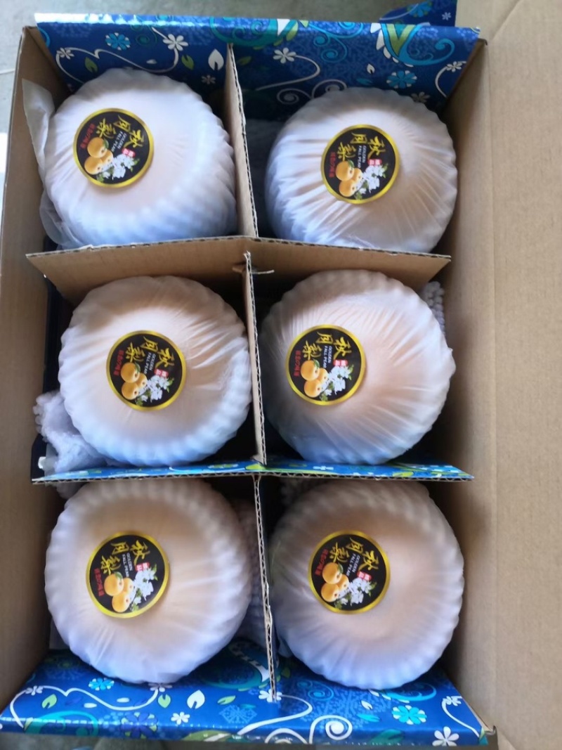 秋月梨库价格便宜电联供应全国发货