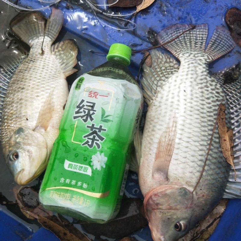 罗飞
