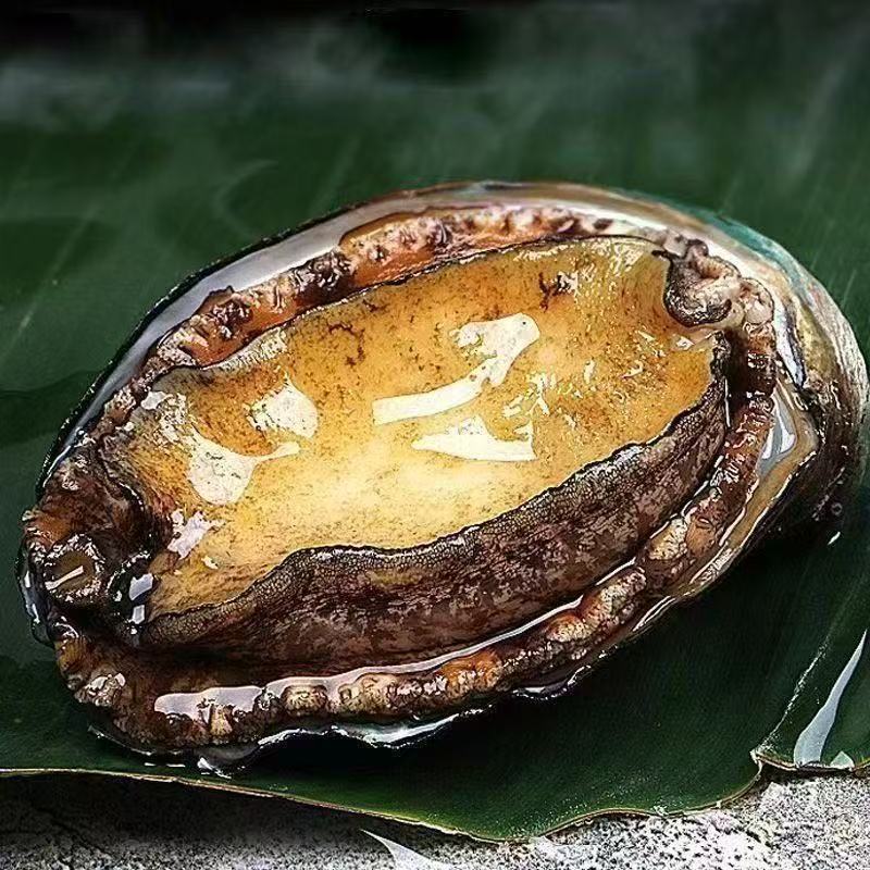 集鲜源冷冻鲜鲍鱼速冻真空带壳商用带壳大鲍鱼顺丰包邮固形物