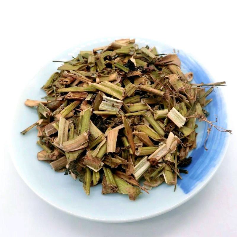 龙葵