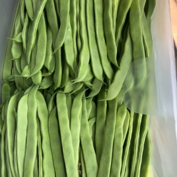 商河大扁，