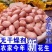 10斤生花生米新2025年新货散装去壳优质商用榨油豆新鲜