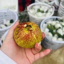 果园直发，施农家肥，现场拍摄无滤镜，精挑精品果