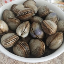 白蚬子冷冻真空即食白蚬子白蛤蜊开袋即食每袋400克包邮