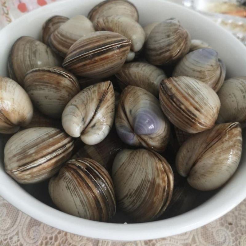 白蚬子冷冻真空即食白蚬子白蛤蜊开袋即食每袋400克包邮