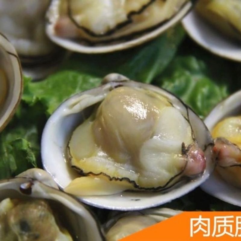 白蚬子冷冻真空即食白蚬子白蛤蜊开袋即食每袋400克包邮