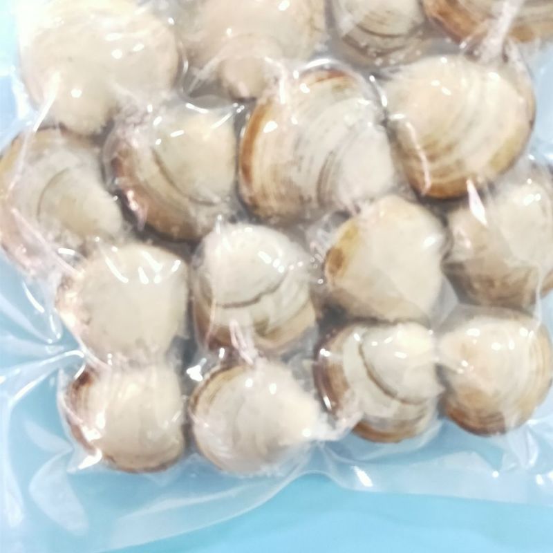 白蚬子冷冻真空即食白蚬子白蛤蜊开袋即食每袋400克包邮