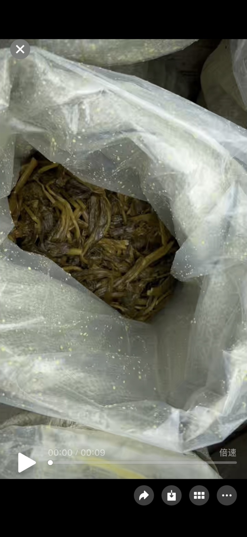咸菜苔，油菜苔，咸菜