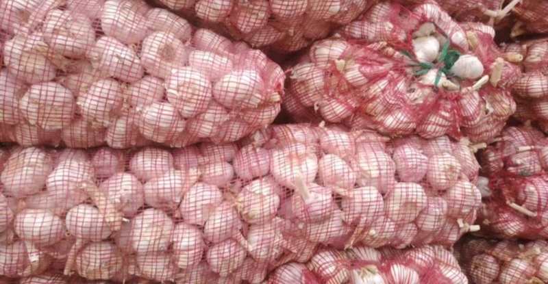 山东大蒜白皮蒜品质保证基地直供量大从优欢迎联系