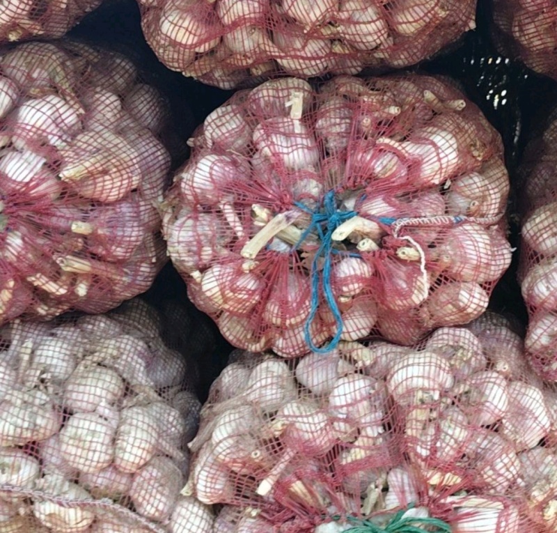 山东大蒜白皮蒜品质保证基地直供量大从优欢迎联系