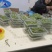 精品条贡菜干纯晾晒50克