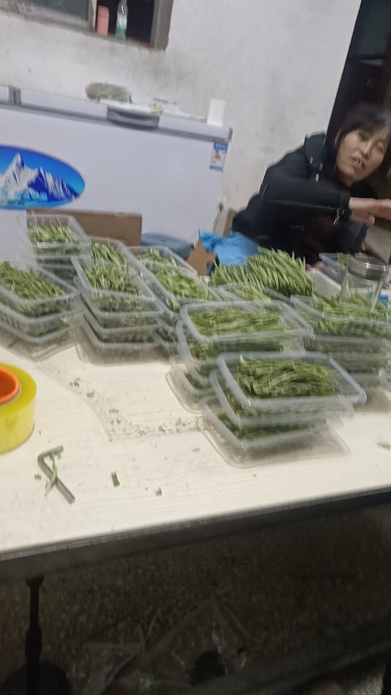 精品条贡菜干纯晾晒50克