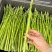 中号芦笋长度30cm，粗0.8-1.2