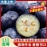 山东新鲜花香L11蓝莓脆甜可口果粉厚耐储运商超货源批发电