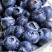 山东优质优瑞卡蓝莓果粉厚耐储运基地直批电商商超全国发货