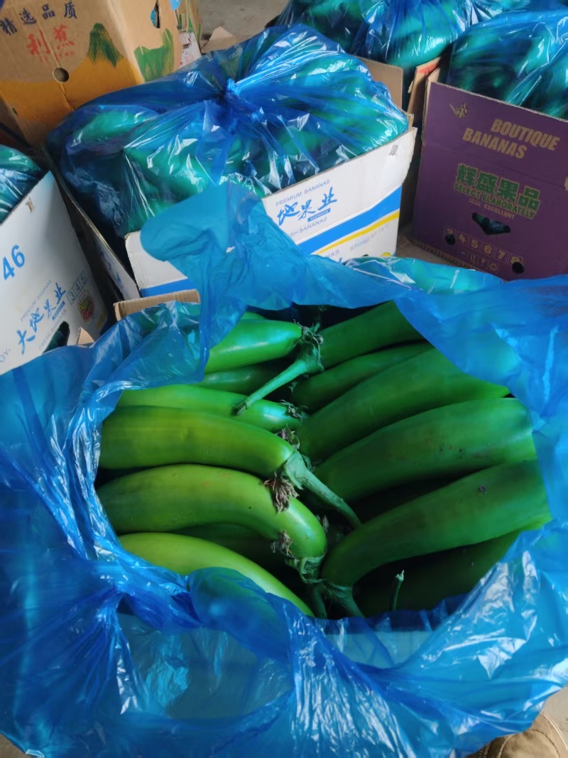 【推荐】青茄精品茄子产地直发表皮光亮保质保量