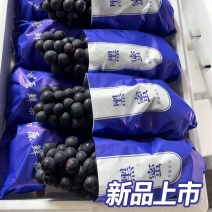 云南红河弥勒夏黑葡萄产地直发4-6月持续供应精品果批发