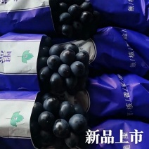 云南红河弥勒精品夏黑葡萄产地走批发4-5-6月长期供货