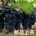 云南红河弥勒精品夏黑葡萄产地走批发4-5-6月长期供货