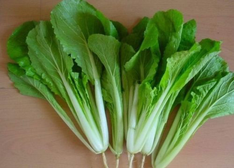 【小白菜】山东曹县小白菜/大量供应/全国可发