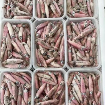 活一口管