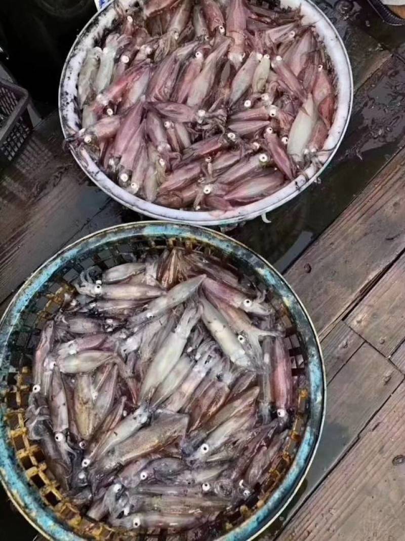活一口管