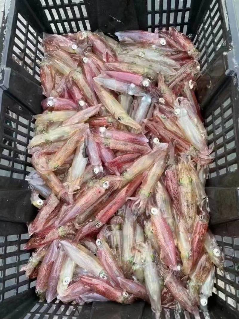 活一口管