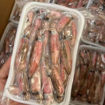 中一口管