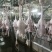 广东清远黑棕鹅肉新鲜现杀现发酒店饭店酒楼快餐店食堂专用食