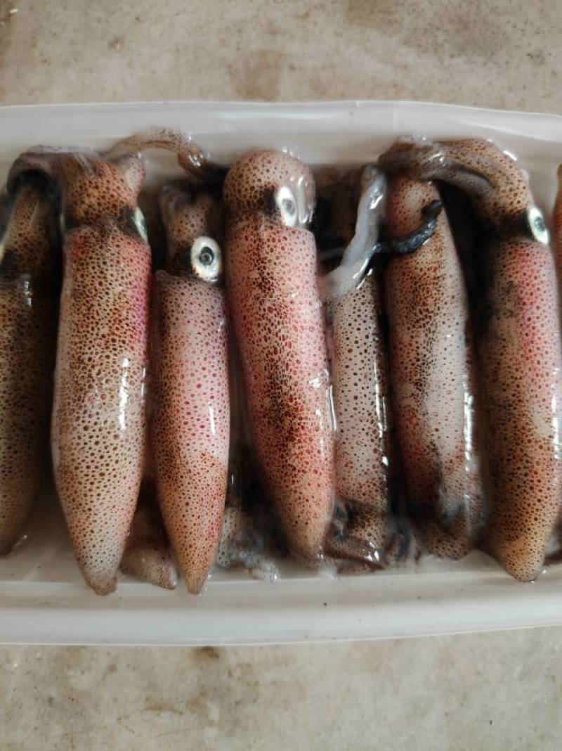 中一口管