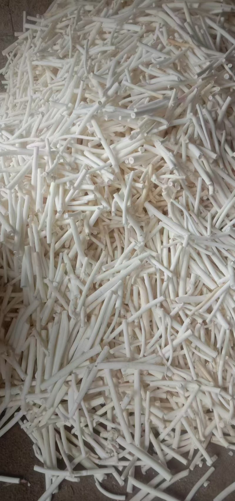中药通草，产地直发，量大从优，欢迎老板视频看货。
