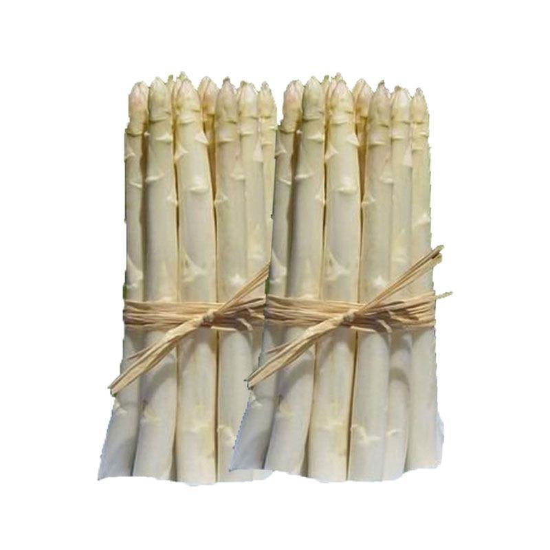 山东当季白芦笋批发货源足洁白细嫩商超餐饮**蔬菜新鲜采