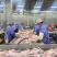 广东清远黑棕鹅棚鹅地通鹅草鹅光鹅棚鹅肉酒店烧腊店专用食材